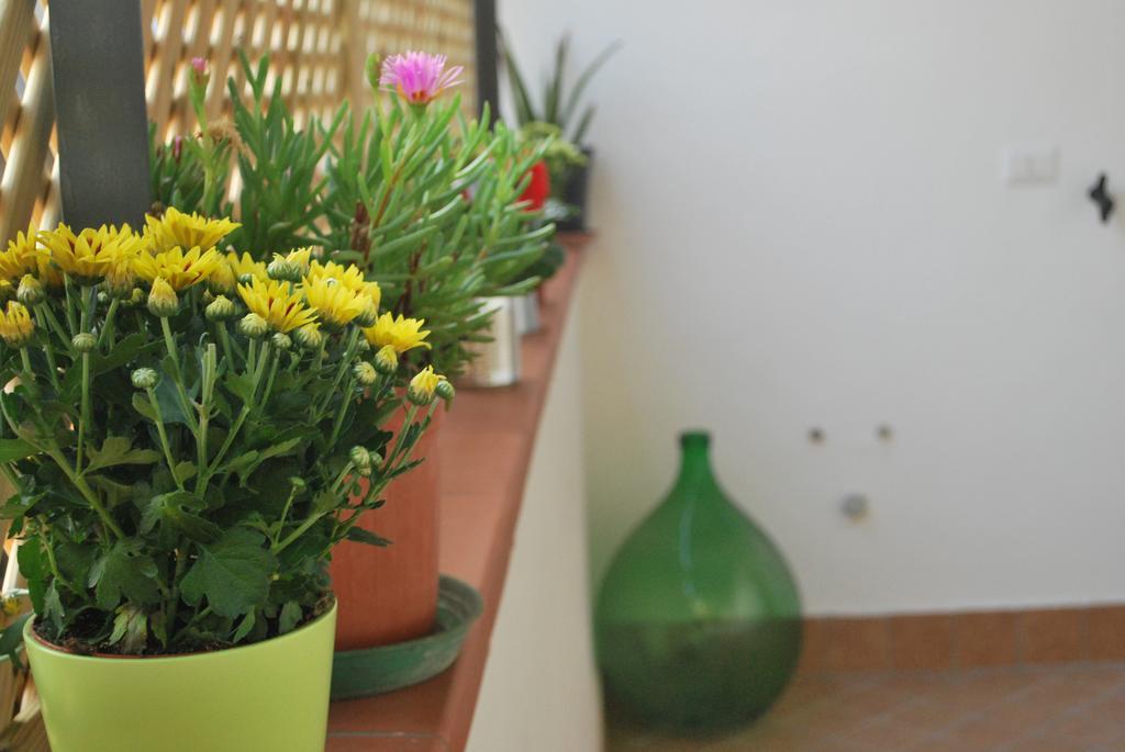 Appartamento Annurca Napoli Ngoại thất bức ảnh
